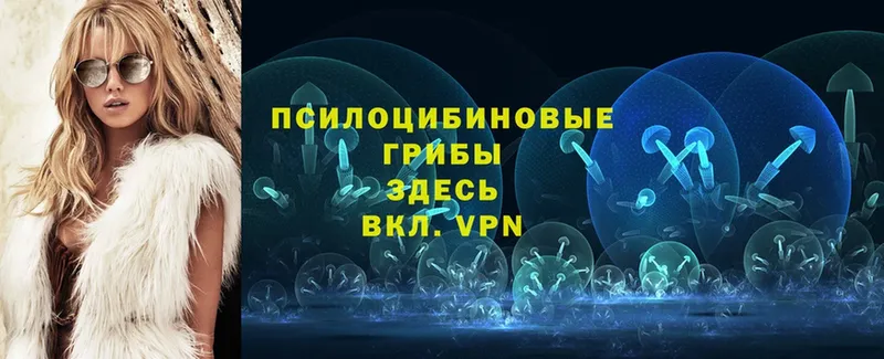 Псилоцибиновые грибы прущие грибы  ссылка на мегу онион  Абинск 